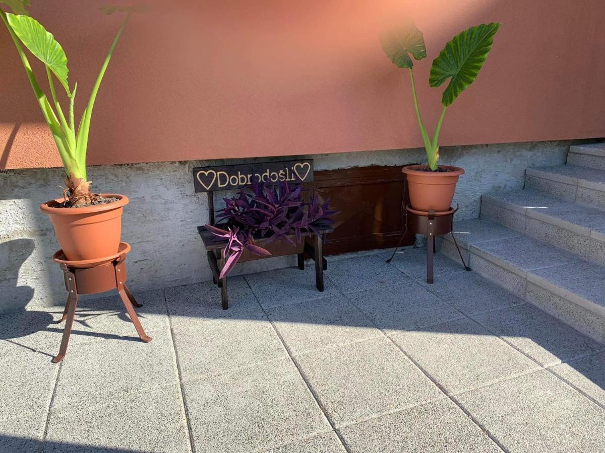 Kuca Za Odmor Blizanke Apartment Ogulin Luaran gambar
